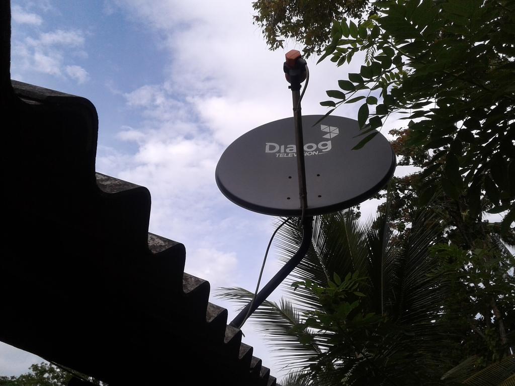 Bluesky Guest House Dambulla Dış mekan fotoğraf