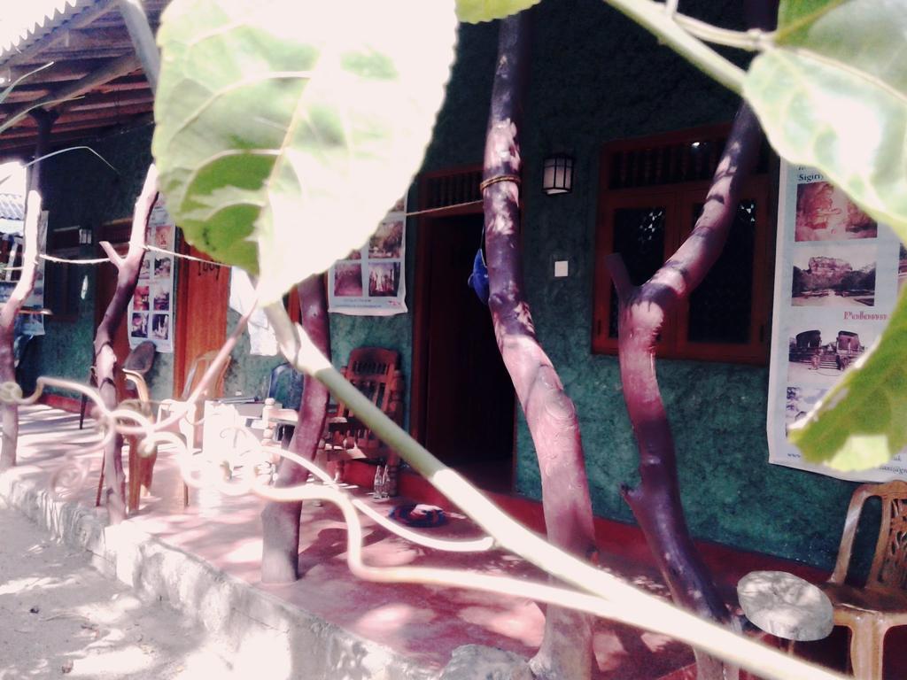 Bluesky Guest House Dambulla Dış mekan fotoğraf